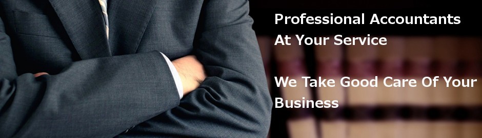 Professional Accountants Services